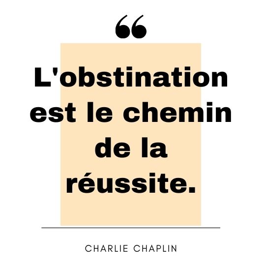 Citation motivations